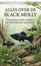 Alles-over-de-Black-Molly-boek-cover-9789465501888