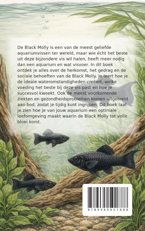 Alles-over-de-Black-Molly-flaptekst-9789465501888