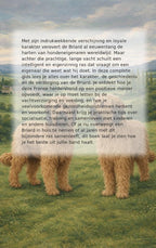 Alles-over-de-Briard-flaptekst-9789465197272