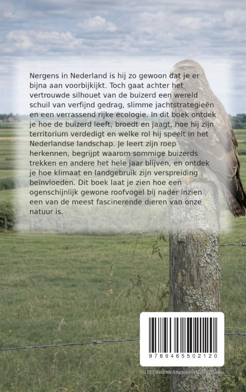 Alles-over-de-Buizerd-flaptekst-9789465502120