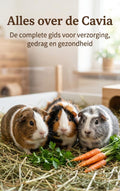 Alles-over-de-Cavia-boek-cover-9789465501796