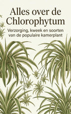 Alles-over-de-Chlorophytum-boek-cover-9789465502663