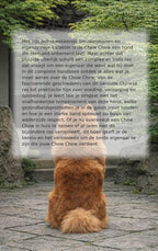 Alles-over-de-Chow-Chow-flaptekst-9789465197319