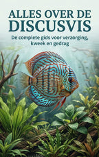 Alles-over-de-Discusvis-boek-cover-9789465501925