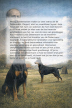 Alles-over-de-Dobermann-flaptekst-9789465193229