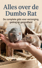 Alles-over-de-Dumbo-Rat-boek-cover-9789465500805