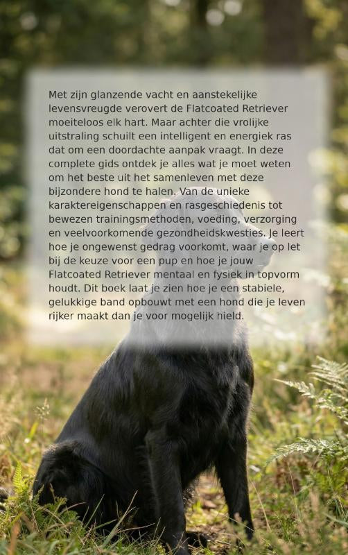 Alles-over-de-Flatcoated-Retriever-flaptekst-9789465193328