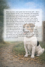 Alles-over-de-Jack-Russell-Terrier-flaptekst-9789465193151