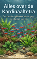 Alles-over-de-Kardinaaltetra-boek-cover-9789465500874
