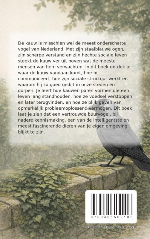 Alles-over-de-Kauw-flaptekst-9789465502106