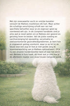 Alles-over-de-Maltees-flaptekst-9789465193182