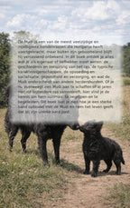 Alles-over-de-Mudi-flaptekst-9789465481456