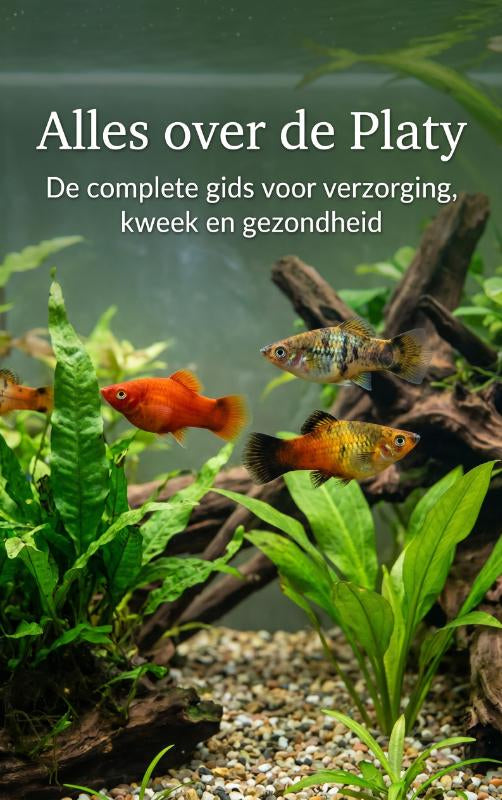 Alles-over-de-Platy-boek-cover-9789465507545