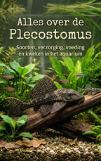 Alles-over-de-Plecostomus-boek-cover-9789465501949