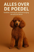 Alles-over-de-Poedel-boek-cover-9789465192024