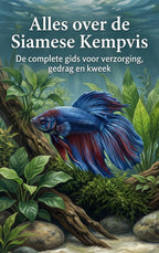 Alles-over-de-Siamese-Kempvis-boek-cover-9789465501871