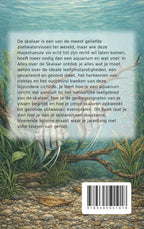 Alles-over-de-Skalaar-flaptekst-9789465501918