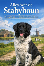Alles-over-de-Stabyhoun-boek-cover-9789465193243