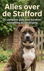 Alles-over-de-Stafford-boek-cover-9789465198415