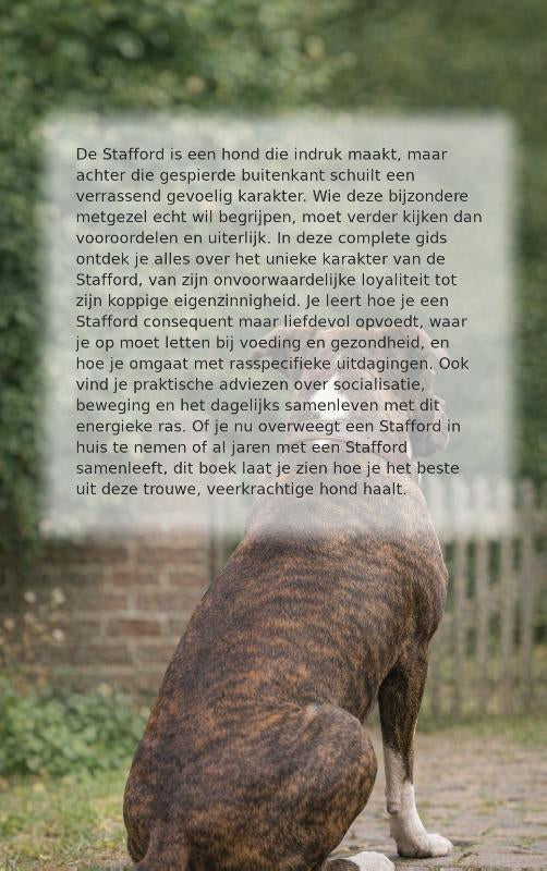 Alles-over-de-Stafford-flaptekst-9789465198415