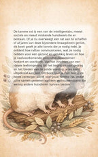 Alles-over-de-Tamme-Rat-flaptekst-9789465500799