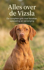 Alles-over-de-Vizsla-boek-cover-9789465197340