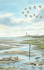 Alles-over-de-Waddenzee-flaptekst-9789465484228