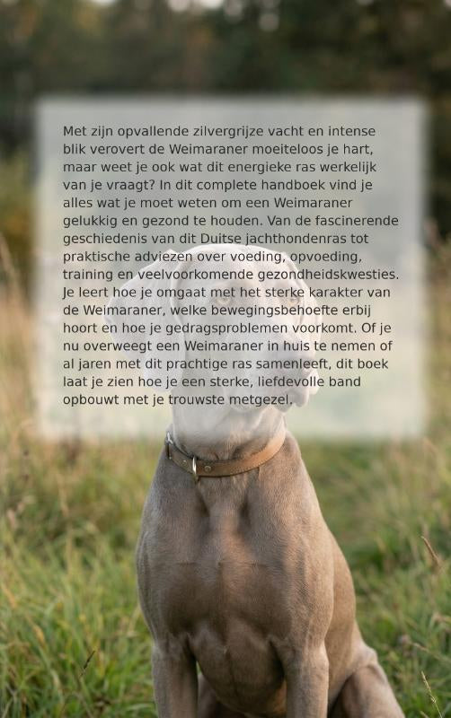 Alles-over-de-Weimaraner-flaptekst-9789465193281