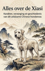 Alles-over-de-Xiasi-boek-cover-9789465481449