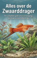 Alles-over-de-Zwaarddrager-boek-cover-9789465501864