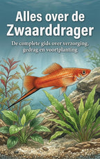 Alles-over-de-Zwaarddrager-boek-cover-9789465501864