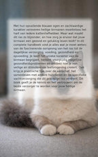 Alles-over-de-heilige-birmaan-flaptekst-9789465195506