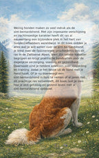Alles-over-de-sint-bernardshond-flaptekst-9789465195568