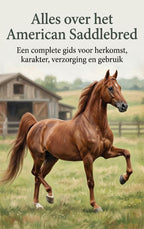 Alles-over-het-American-Saddlebred-boek-cover-9789465501550