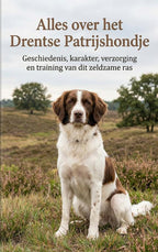 Alles-over-het-Drentse-Patrijshondje-boek-cover-9789465193311