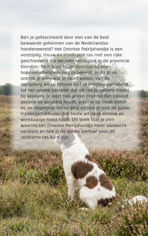 Alles-over-het-Drentse-Patrijshondje-flaptekst-9789465193311