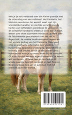 Alles-over-het-Falabella-flaptekst-9789465501581