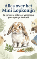 Alles-over-het-Mini-Lopkonijn-boek-cover-9789465501703