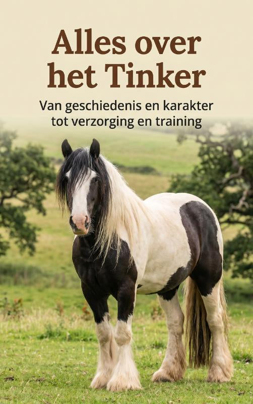Alles-over-het-Tinker-boek-cover-9789465501413