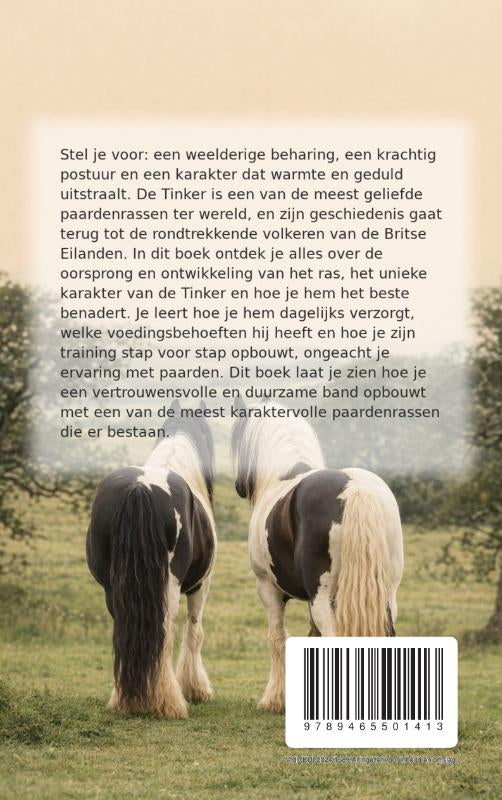 Alles-over-het-Tinker-flaptekst-9789465501413