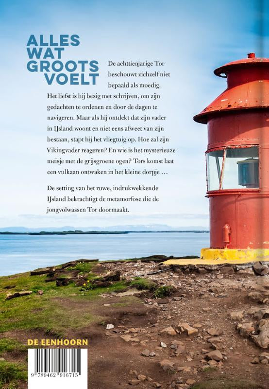 Alles-wat-groots-voelt-flaptekst-9789462916715