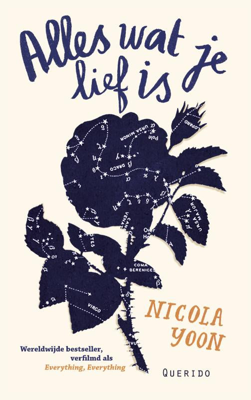 Alles-wat-je-lief-is-boek-cover-9789045119090