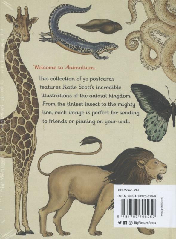 Animalium-Postcards-flaptekst-9781783706259