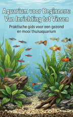 Aquarium-voor-Beginners-Van-Inrichting-tot-Vissen-boek-cover-9789465193465