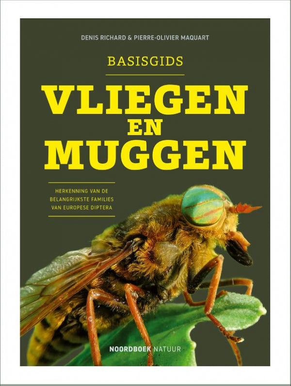 Basisgids-vliegen-en-muggen-boek-cover-9789464712568