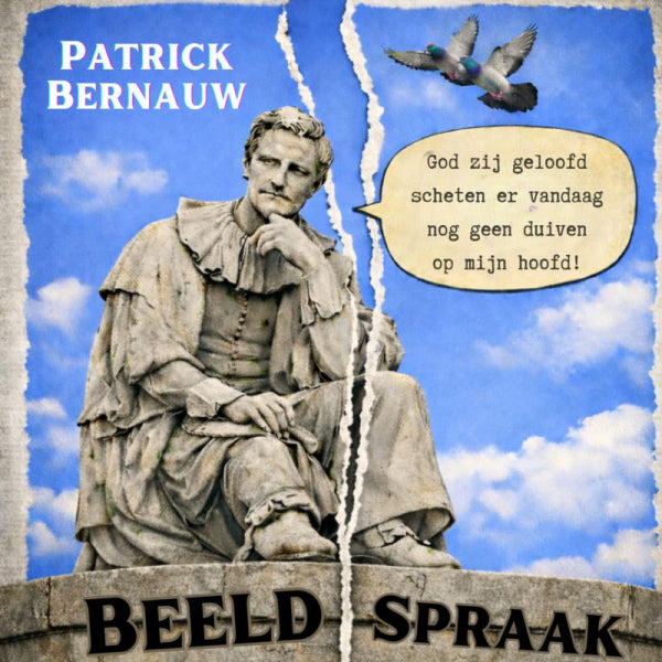 BeeldSpraak-boek-cover-9789403870588