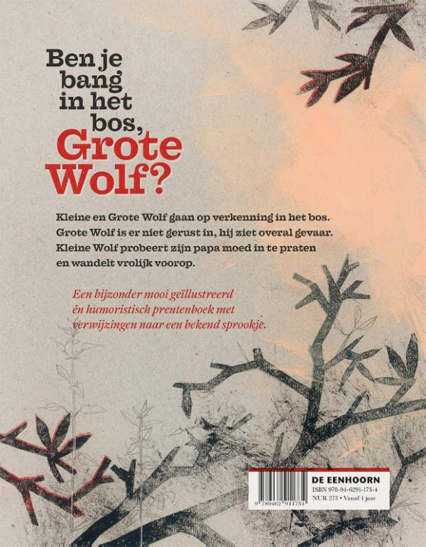 Ben-je-bang-in-het-bos-Grote-Wolf-flaptekst-9789462911734