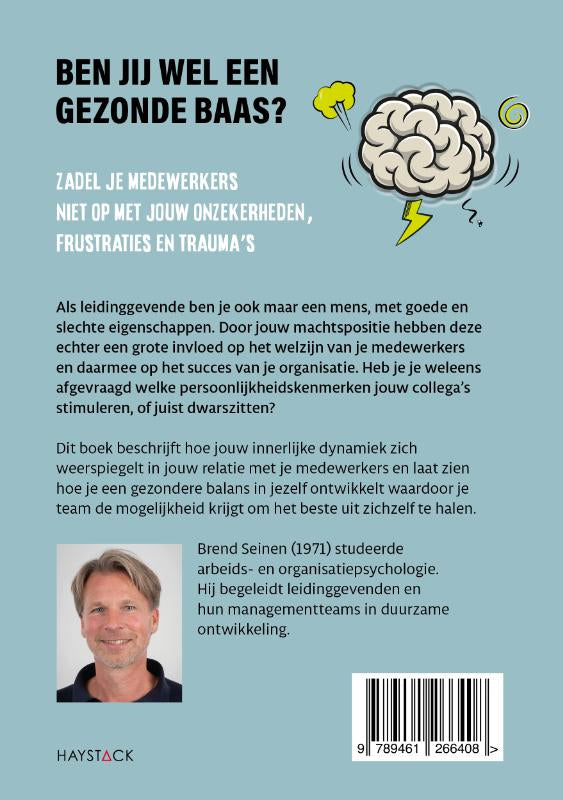 Ben-jij-wel-een-gezonde-baas-flaptekst-9789461266408