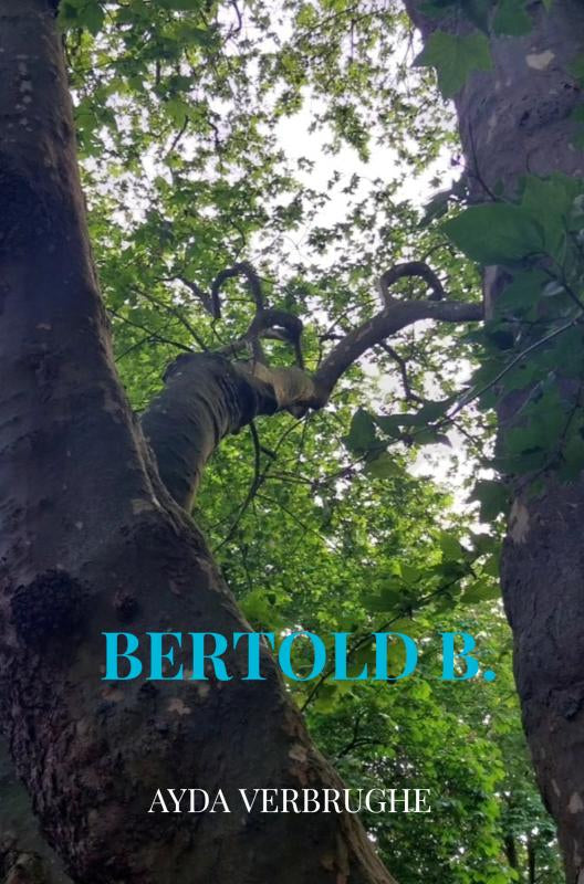 Bertold-B-boek-cover-9789403900247