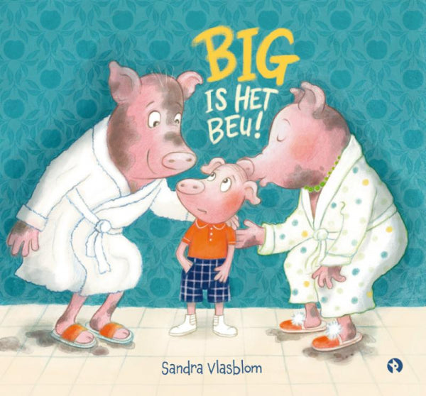 Big-is-het-beu-boek-cover-9789047635321